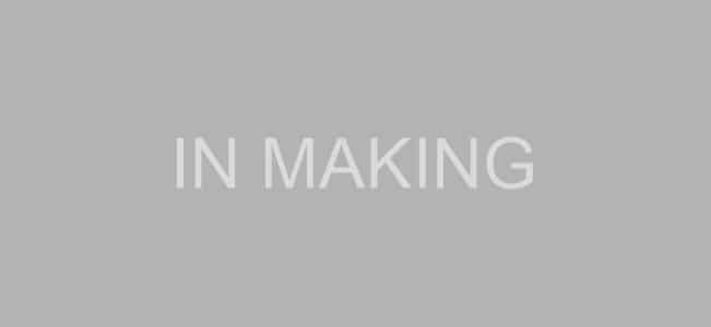 IN MAKING